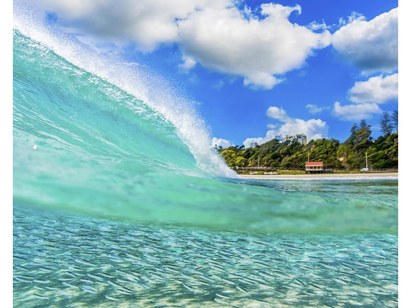 4/22 Marine Parade, Coolangatta QLD 4225