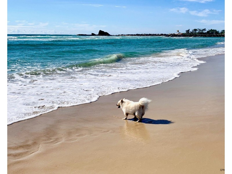 10/1306 Gold Coast Highway, Palm Beach QLD 4221