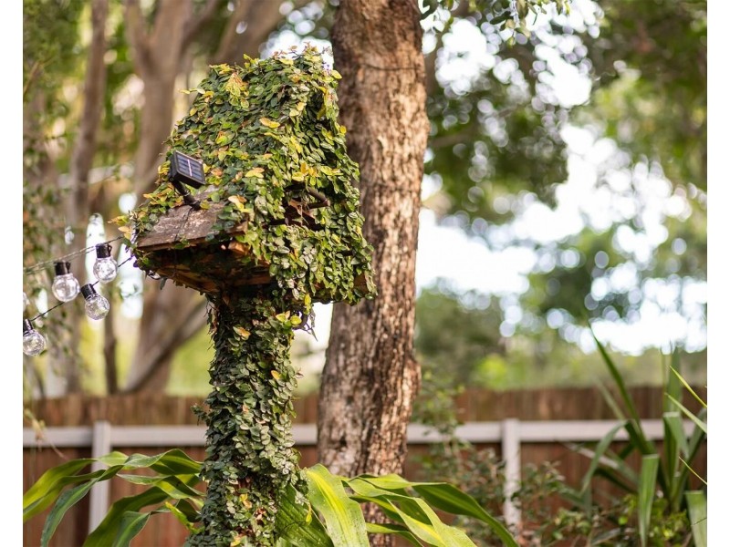 2075/1 Ocean Street, Burleigh Heads QLD 4220