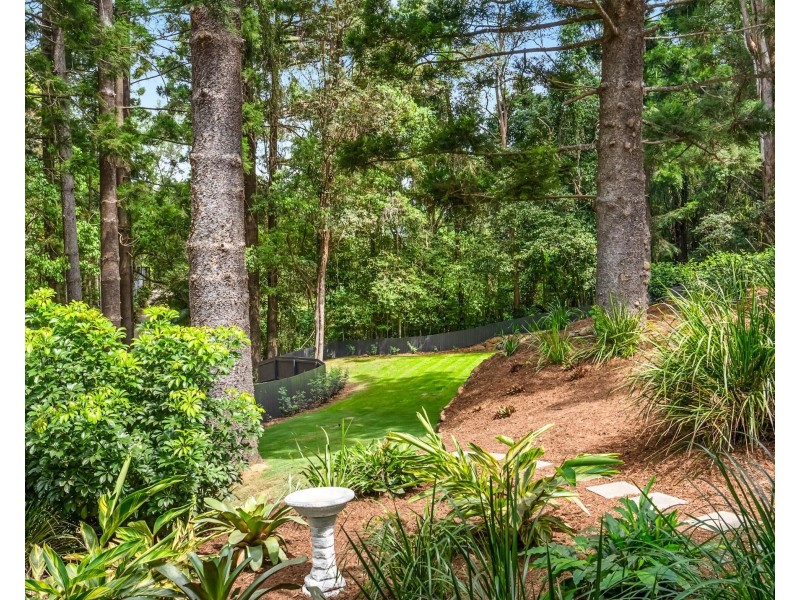 493 Tallebudgera Connection Road, Currumbin Valley QLD 4223