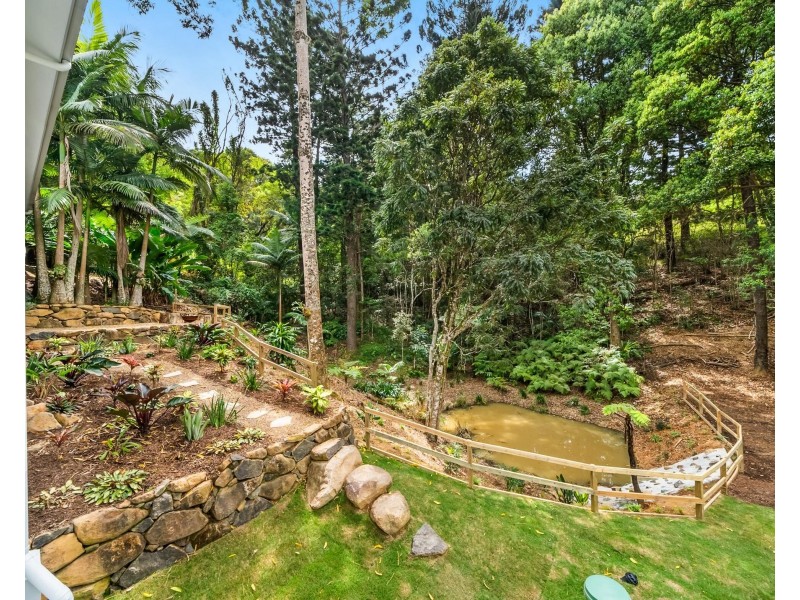 493 Tallebudgera Connection Road, Currumbin Valley QLD 4223