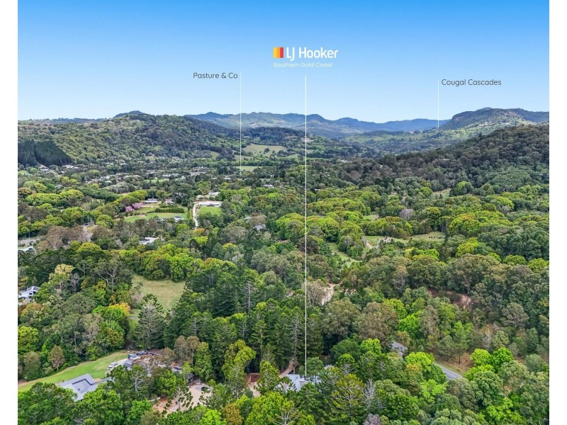 493 Tallebudgera Connection Road, Currumbin Valley QLD 4223