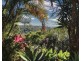 50 Warringa Drive, Bilambil Heights NSW 2486