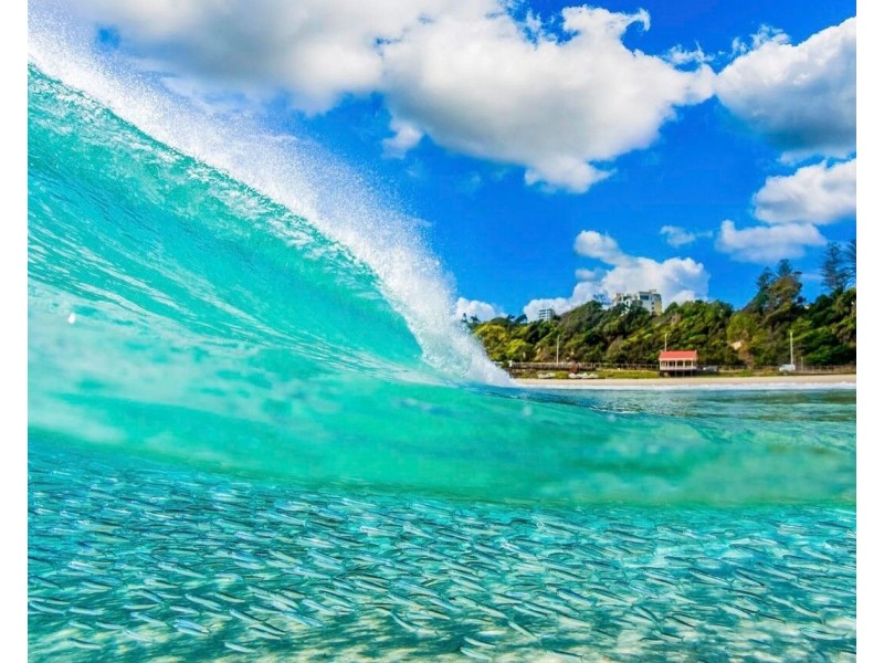 1/32 Powell Crescent, Coolangatta QLD 4225