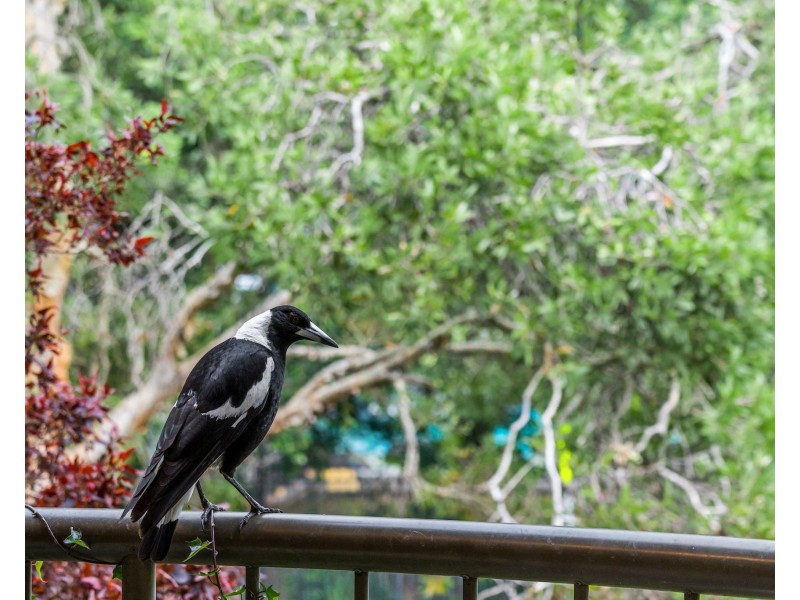 3/5 Seymour Street, Tweed Heads South NSW 2486