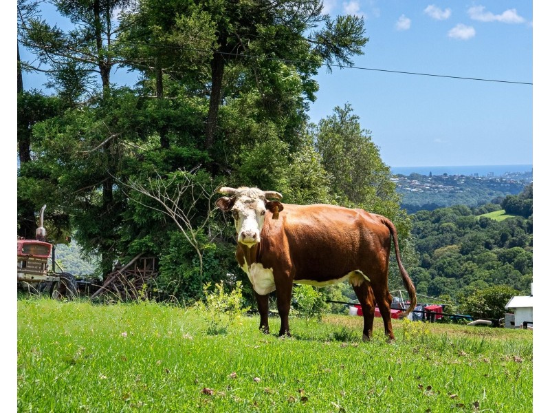 151 Mayes Hill Road, North Tumbulgum NSW 2490