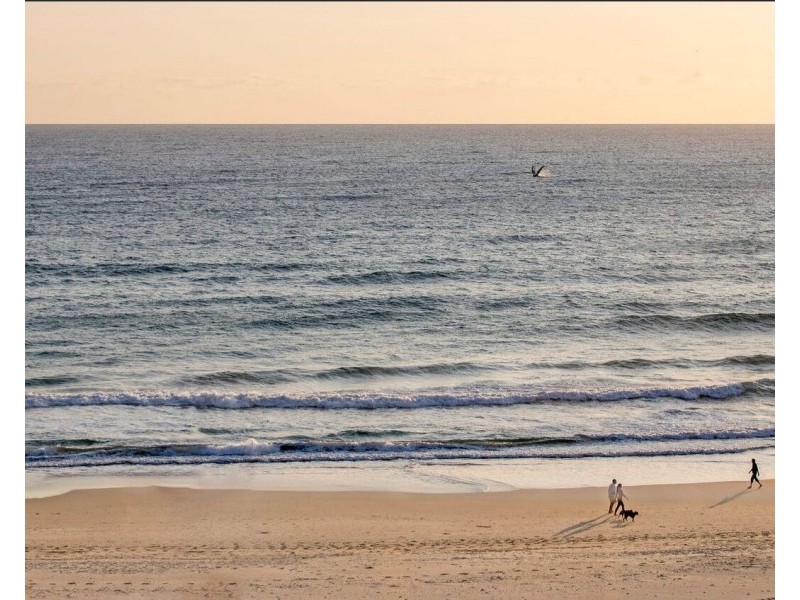 101 & 102/321 Golden Four Drive, Tugun QLD 4224