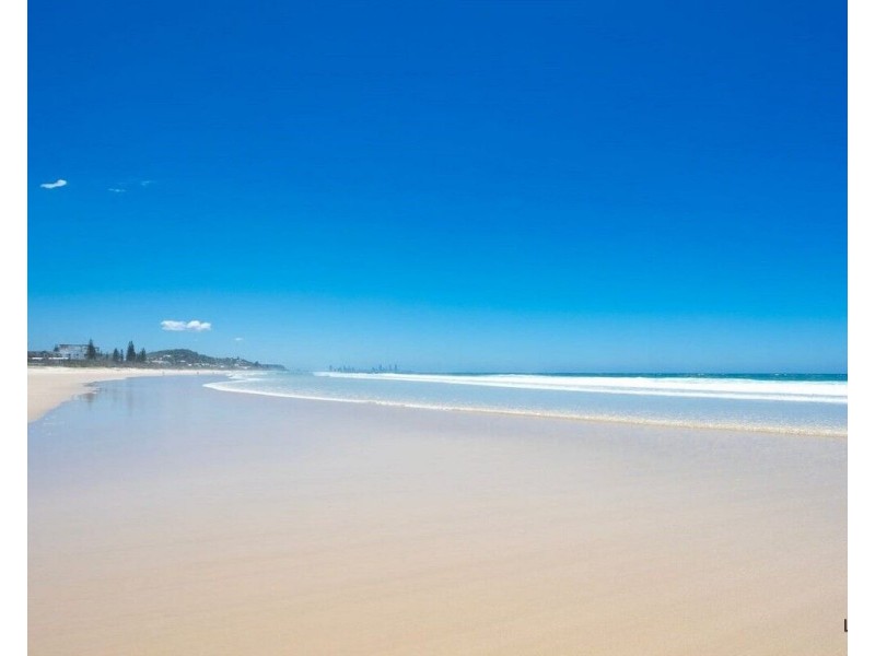 101/321 Golden Four Drive, Tugun QLD 4224