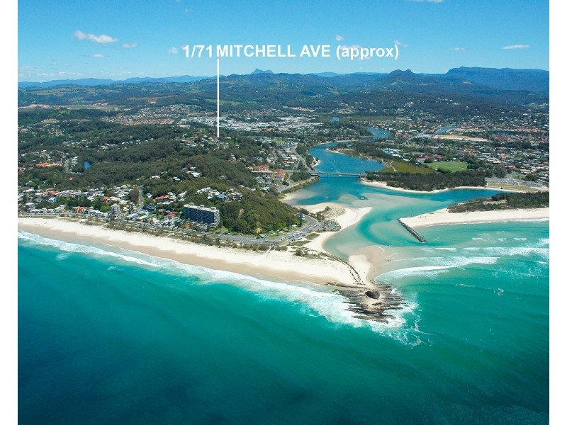 1/71 Mitchell Avenue, Currumbin QLD 4223