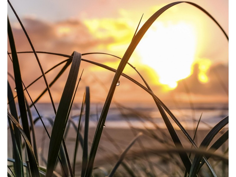 5/135 Golden Four Drive, Bilinga QLD 4225