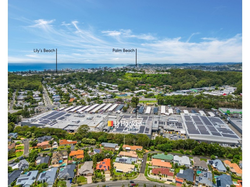 31 Stingray Crescent, Burleigh Waters QLD 4220