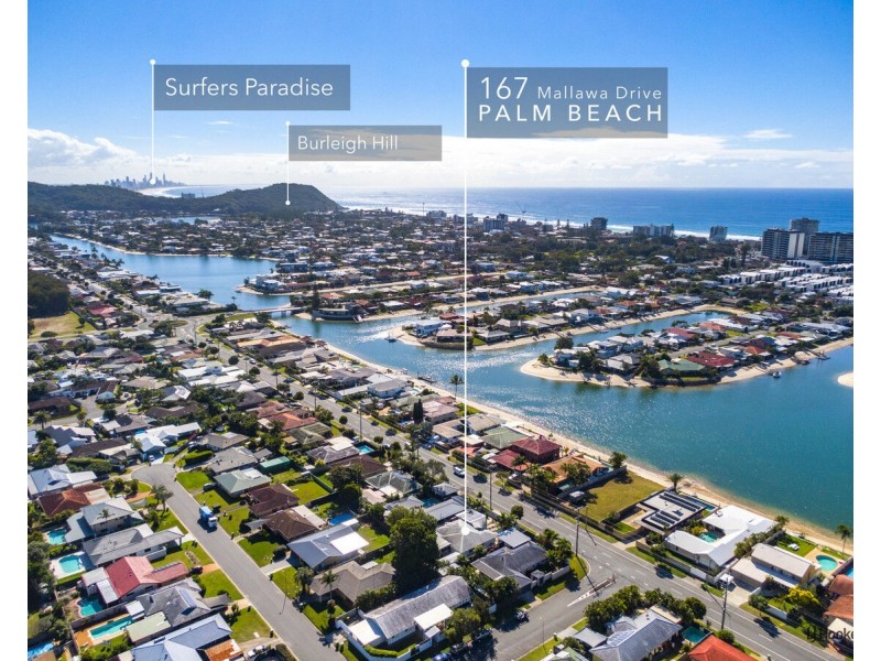 167 Mallawa Drive, Palm Beach QLD 4221