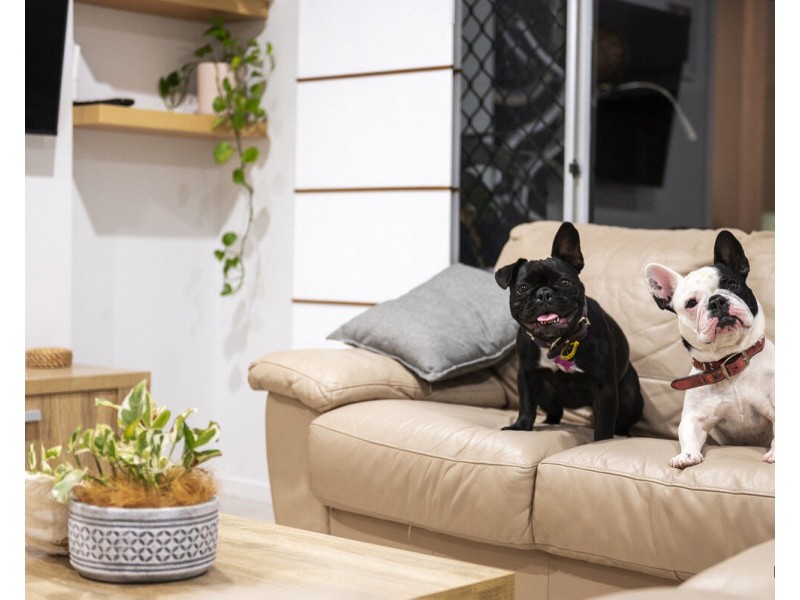 167 Mallawa Drive, Palm Beach QLD 4221