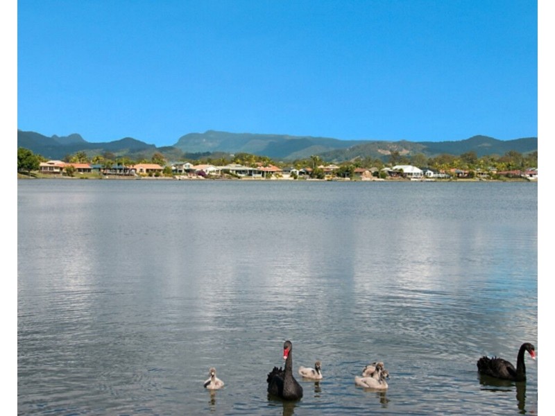 22 Avocado Street, Elanora QLD 4221