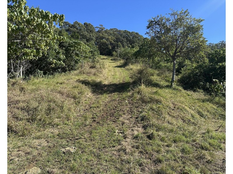 175 Kielys Road, Mooball NSW 2483