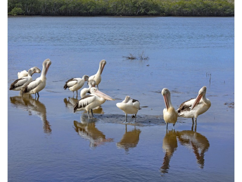 2/3 Seymour Street, Tweed Heads South NSW 2486