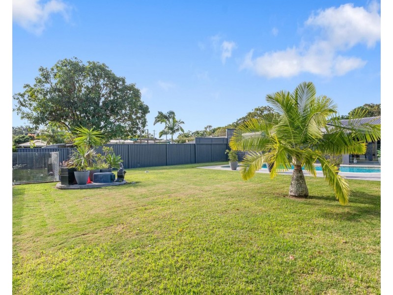 23 Daffodil Street, Tallebudgera QLD 4228