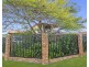 18 Holbrook Way, Elanora QLD 4221