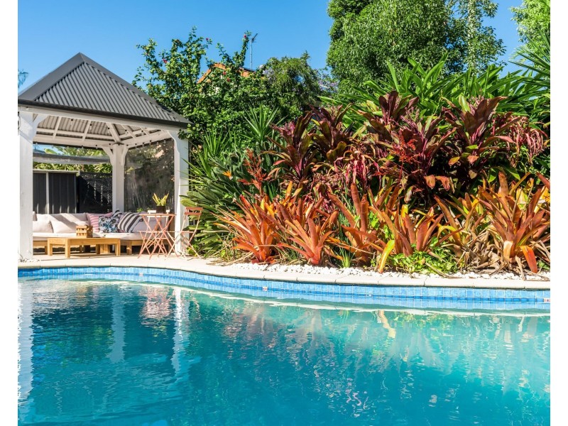 19 Saffron Street, Elanora QLD 4221