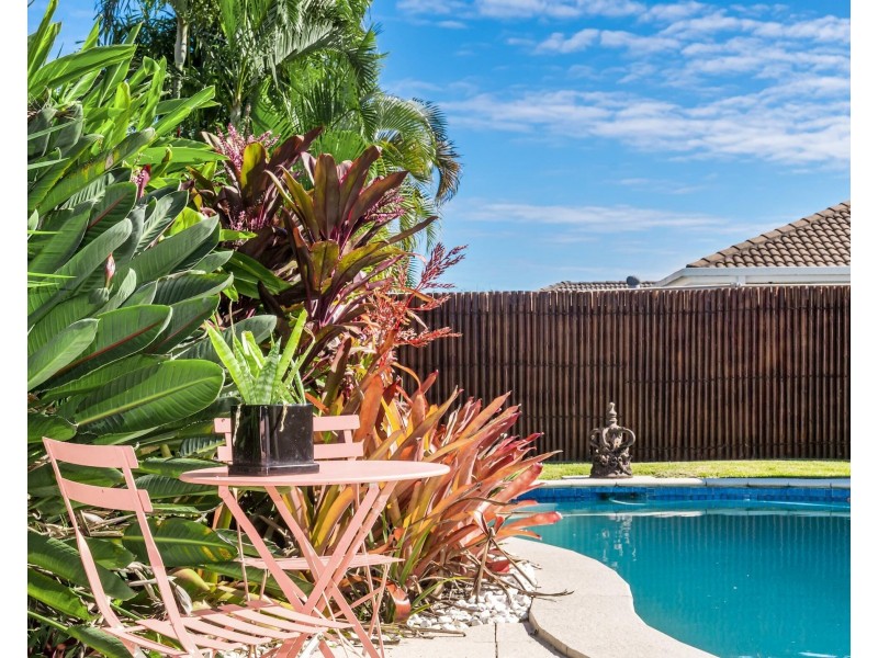 19 Saffron Street, Elanora QLD 4221
