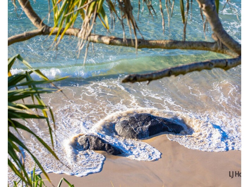 5/45 McLean Street, Coolangatta QLD 4225