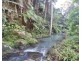 474 Urliup Road, Urliup NSW 2484