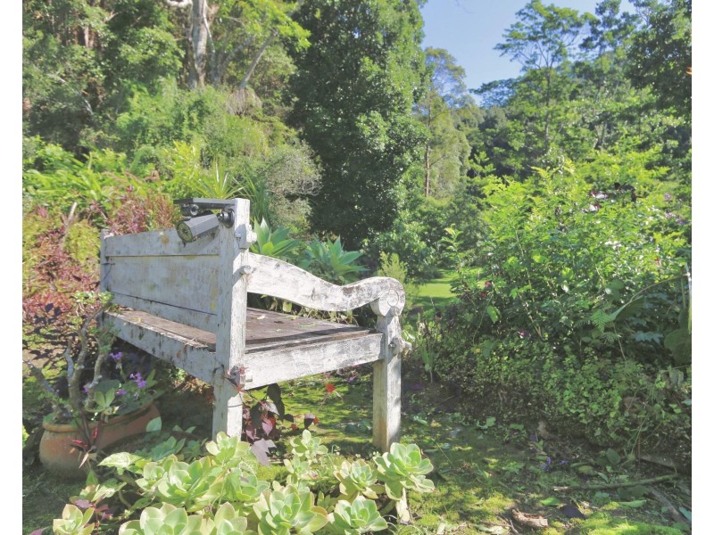 474 Urliup Road, Urliup NSW 2484