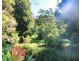 474 Urliup Road, Urliup NSW 2484