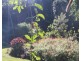 474 Urliup Road, Urliup NSW 2484