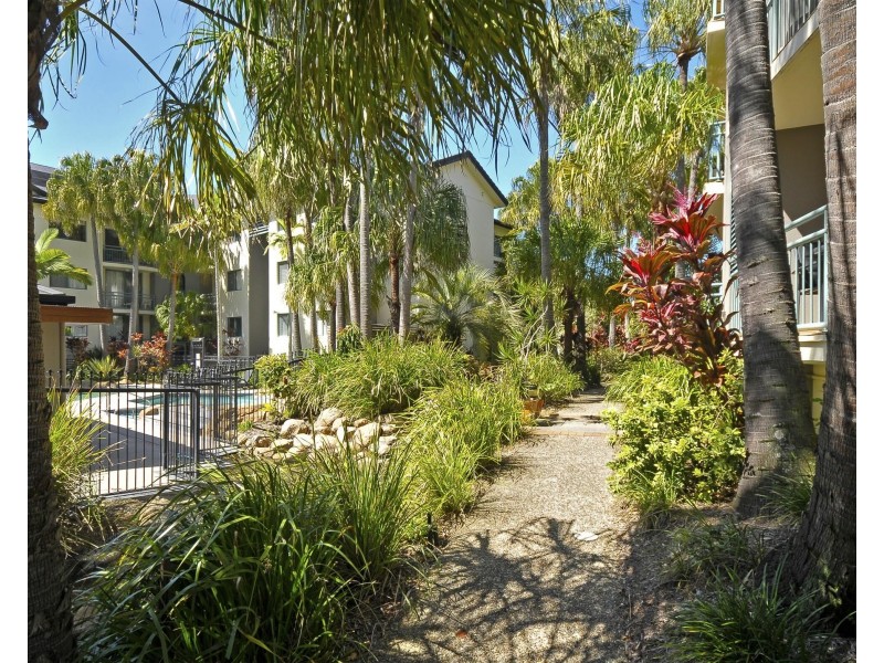 84/955 Gold Coast Highway, Palm Beach QLD 4221