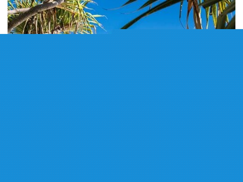 1/1292 Gold Coast Highway, Palm Beach QLD 4221