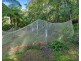 78 Estelle Road, Currumbin Valley QLD 4223