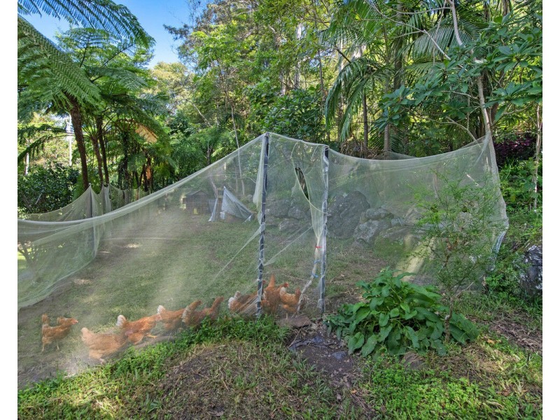 78 Estelle Road, Currumbin Valley QLD 4223