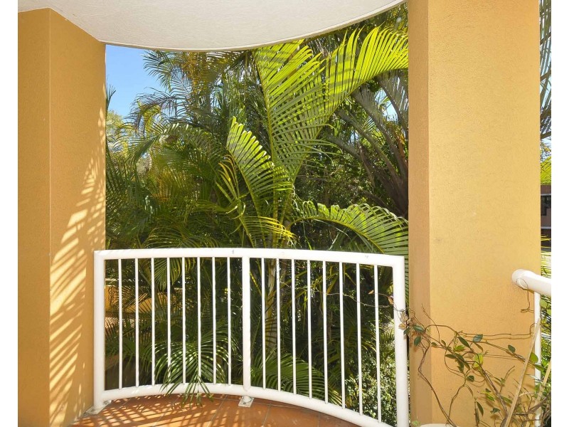 13/560 Gold Coast Highway, Tugun QLD 4224