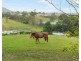 15 Alroy Lane, Dunbible NSW 2484