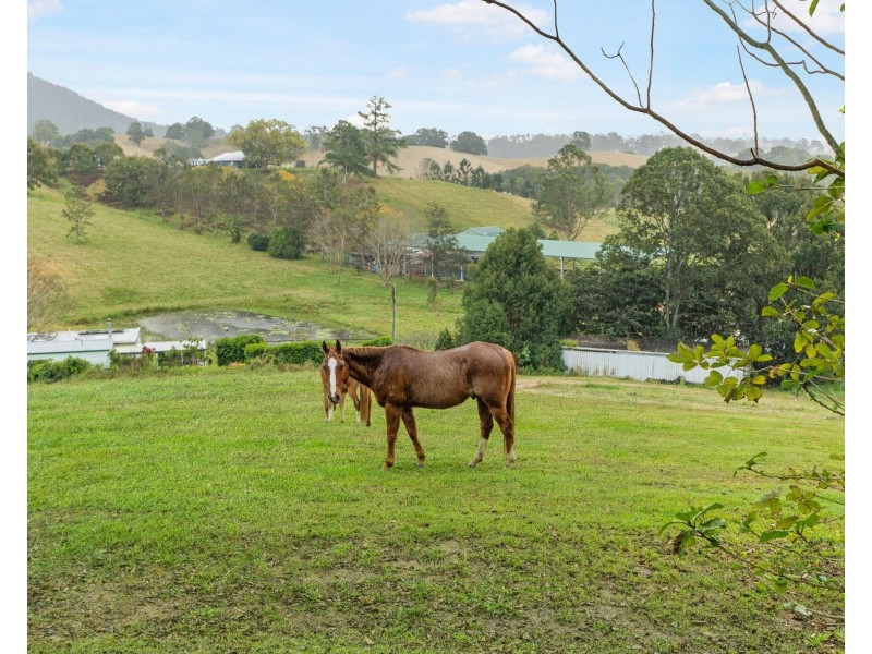 15 Alroy Lane, Dunbible NSW 2484