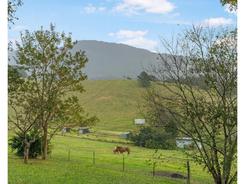 15 Alroy Lane, Dunbible NSW 2484