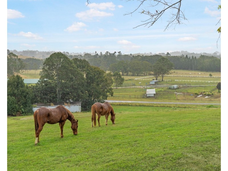 15 Alroy Lane, Dunbible NSW 2484