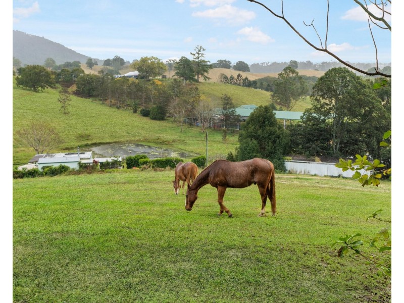 15 Alroy Lane, Dunbible NSW 2484