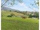 15 Alroy Lane, Dunbible NSW 2484