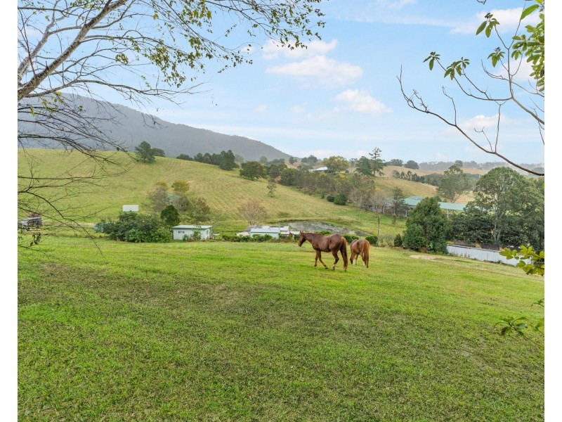 15 Alroy Lane, Dunbible NSW 2484