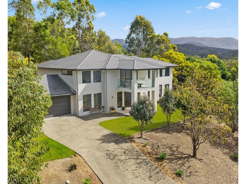 77 Whiptail Place, Advancetown QLD 4211