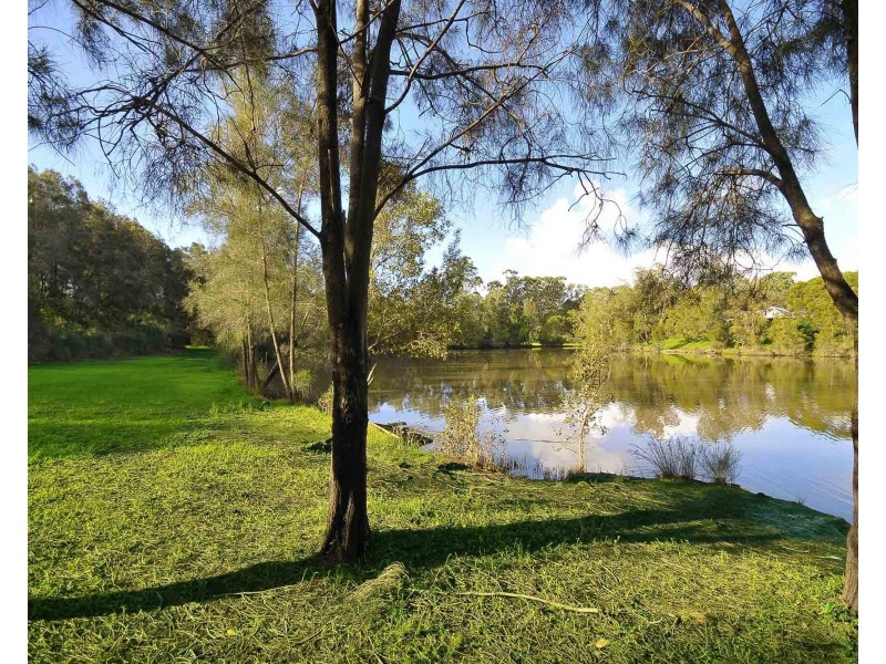 19 Hibertia Avenue, Elanora QLD 4221