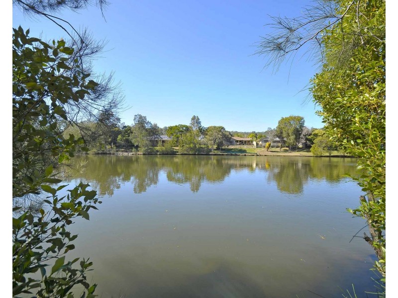 19 Hibertia Avenue, Elanora QLD 4221