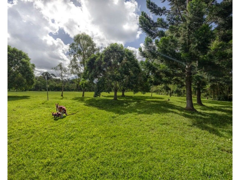 2 Jingree Perch, Currumbin Valley QLD 4223
