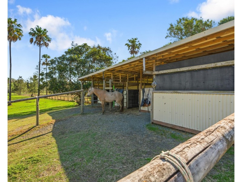 45 Larch Street, Tallebudgera QLD 4228