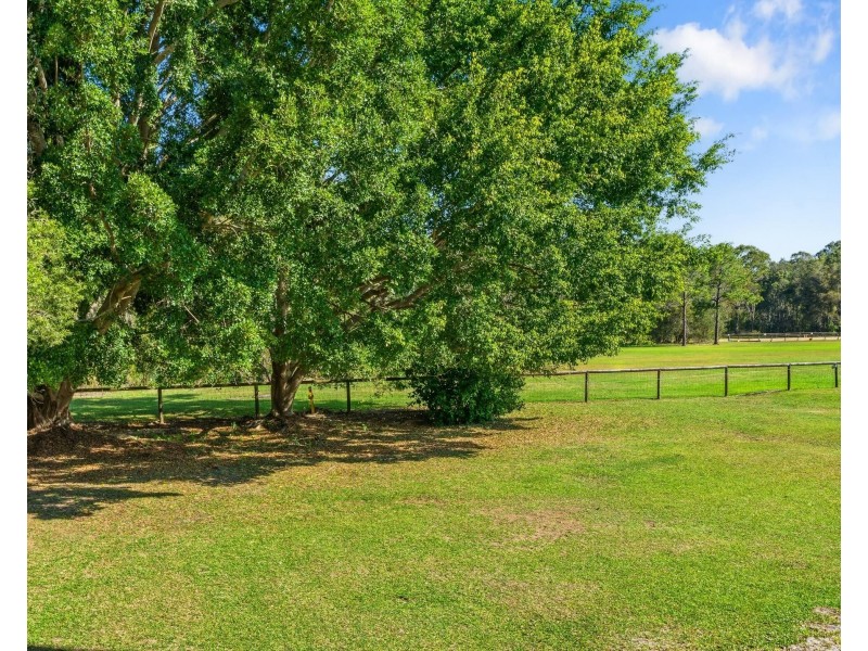 45 Larch Street, Tallebudgera QLD 4228