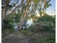 15 Drumfish Drive, Currumbin Waters QLD 4223