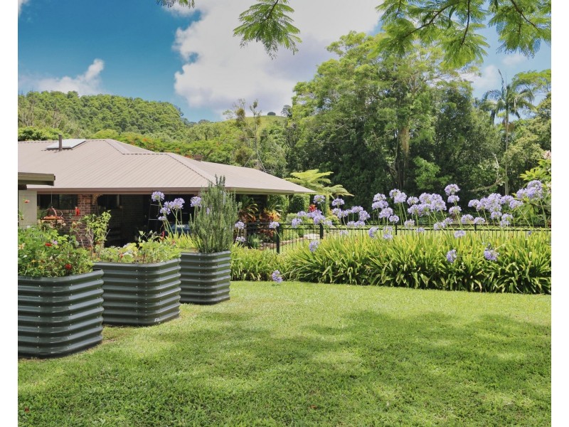 384 Cobaki Road, Cobaki NSW 2486