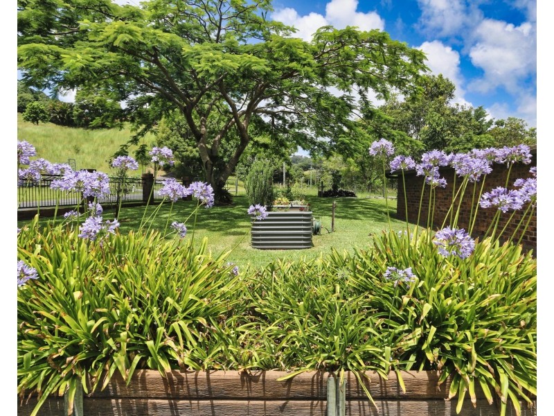 384 Cobaki Road, Cobaki NSW 2486